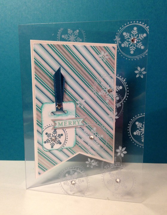 Acetate Winter Frost Banner